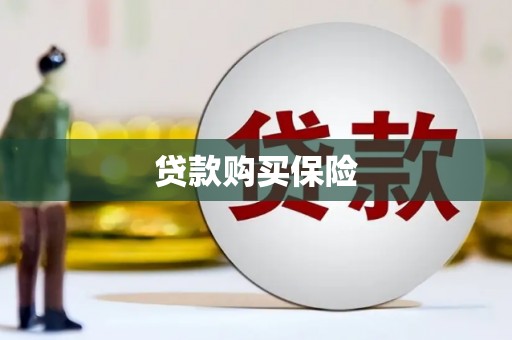 涡阳贷款购买保险