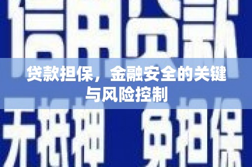涡阳贷款担保，金融安全的关键与风险控制