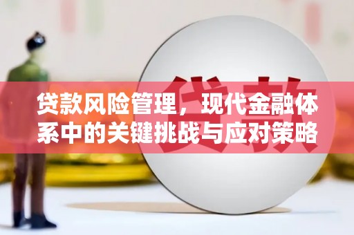 涡阳贷款风险管理，现代金融体系中的关键挑战与应对策略