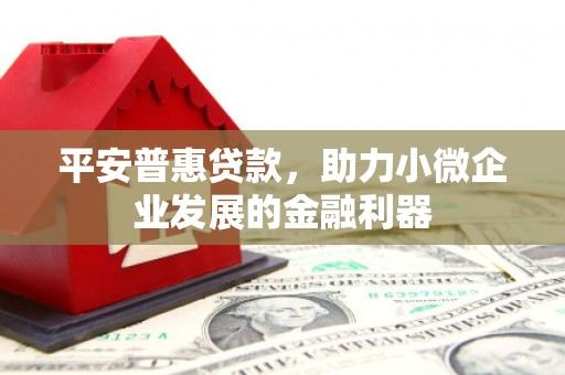 涡阳平安普惠贷款，助力小微企业发展的金融利器