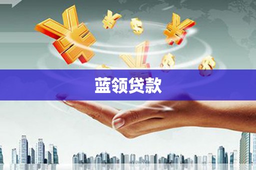 涡阳蓝领贷款