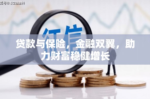 涡阳贷款与保险，金融双翼，助力财富稳健增长